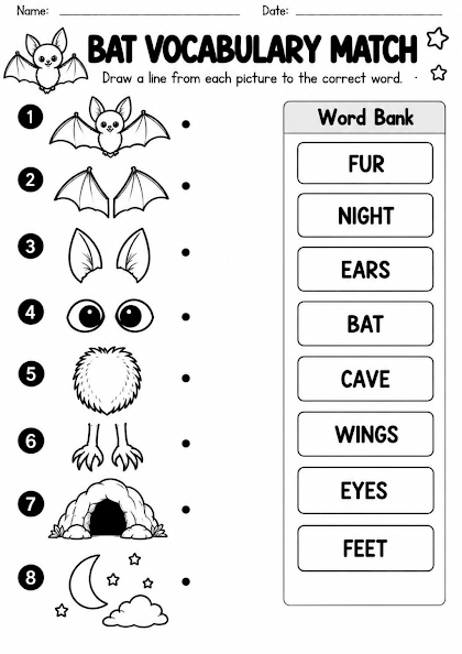 Bat Vocabulary Picture Match Worksheet