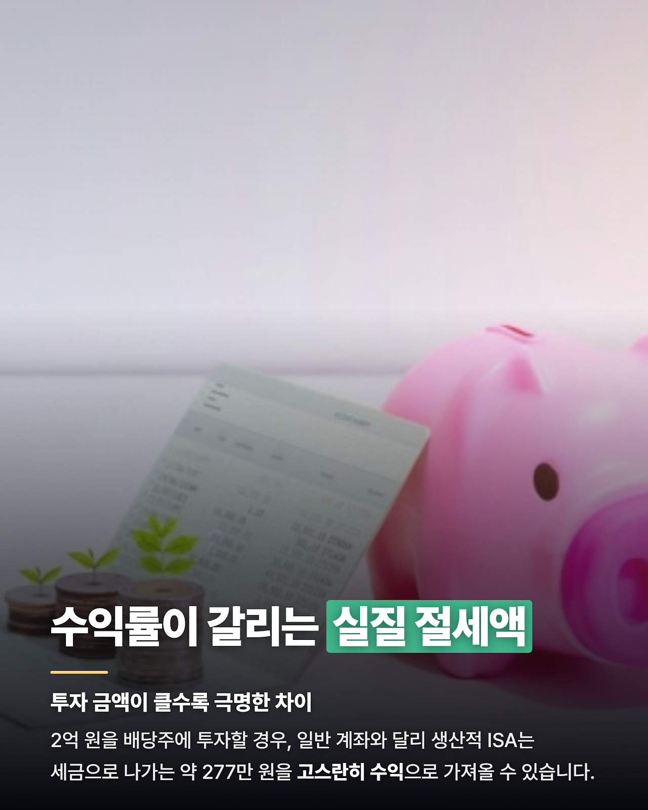 카드뉴스
