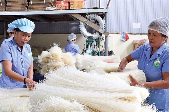 Ngôi sao 'Mì gạo Hùng Lô' tỏa sáng từ miền quê đất Tổ - Tạp chí Vnbusiness