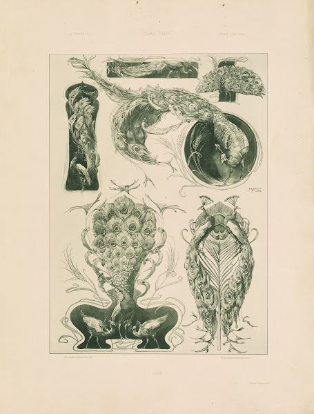 Das Thier in der decorativen Kunst Pl28 1896