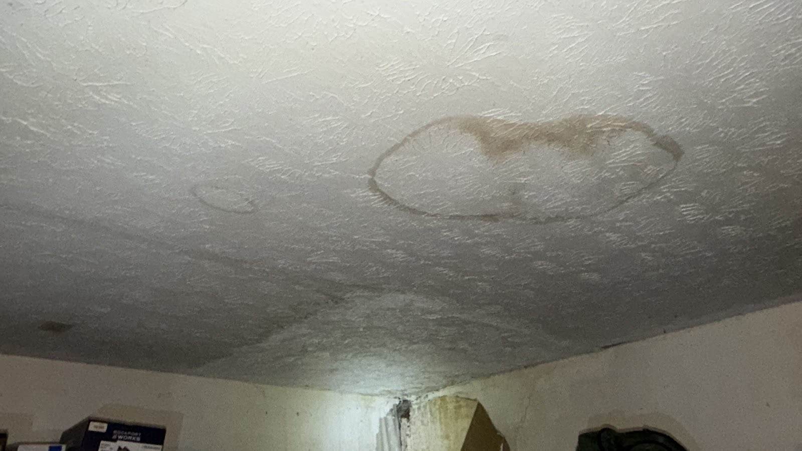 Copy of IMG_2026-03-13_15-06-26_008.jpg