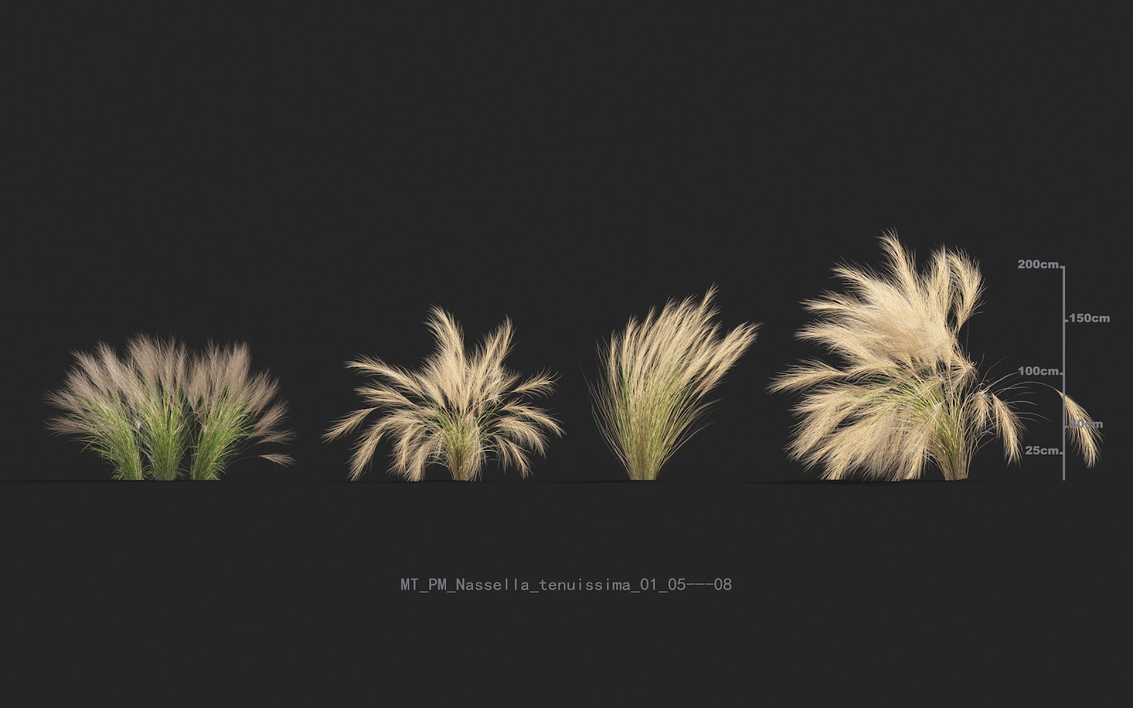 Maxtree - Plant Models Vol.20