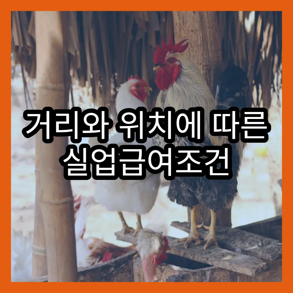 거리와 위치에 따른 실업급여조건 신청 방법