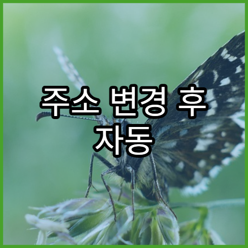 주소 변경 후 자동 반영되지 않는 공공 데이터 종류