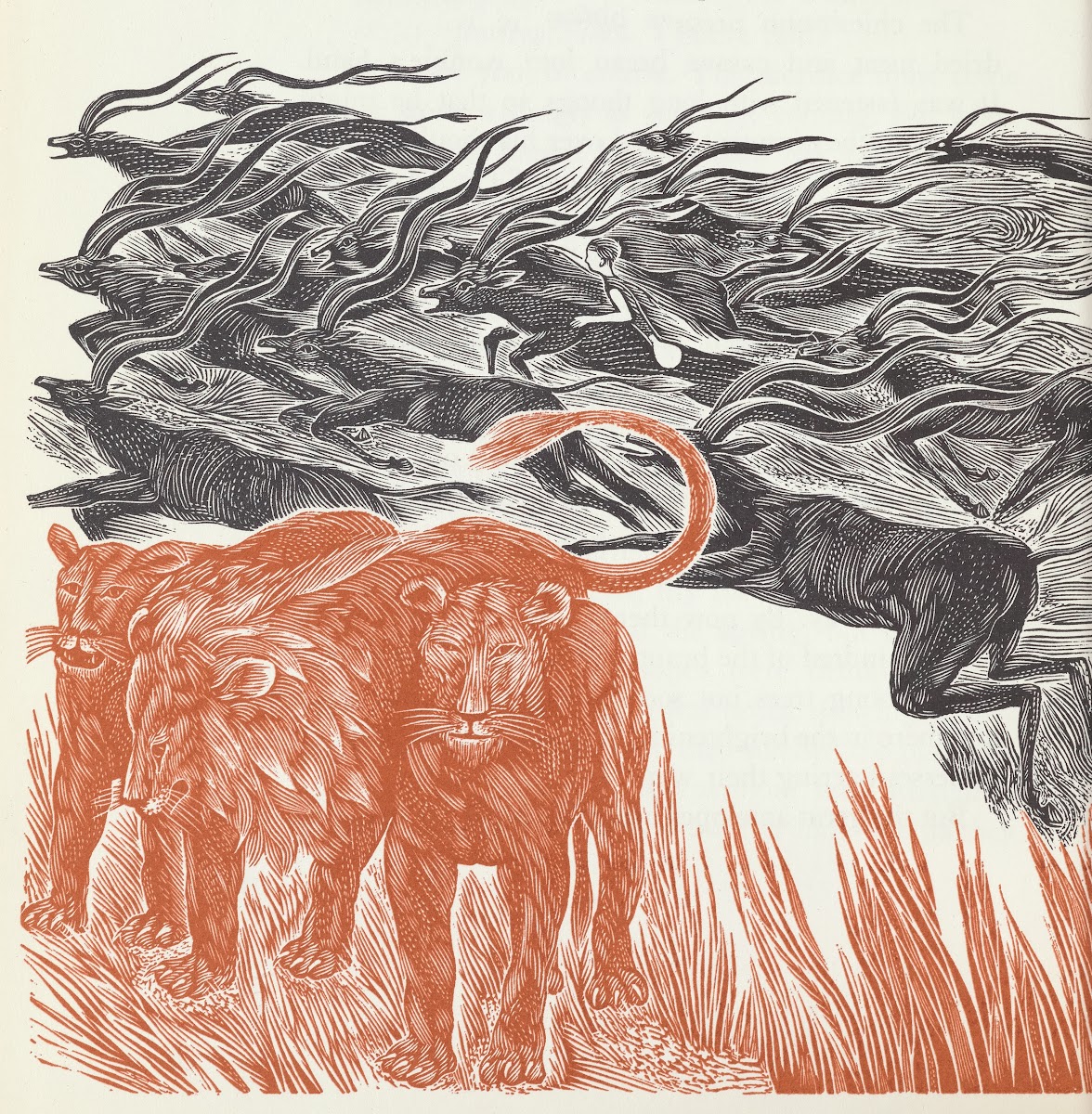 Ronnie and the Chiefs Son pl10 1962