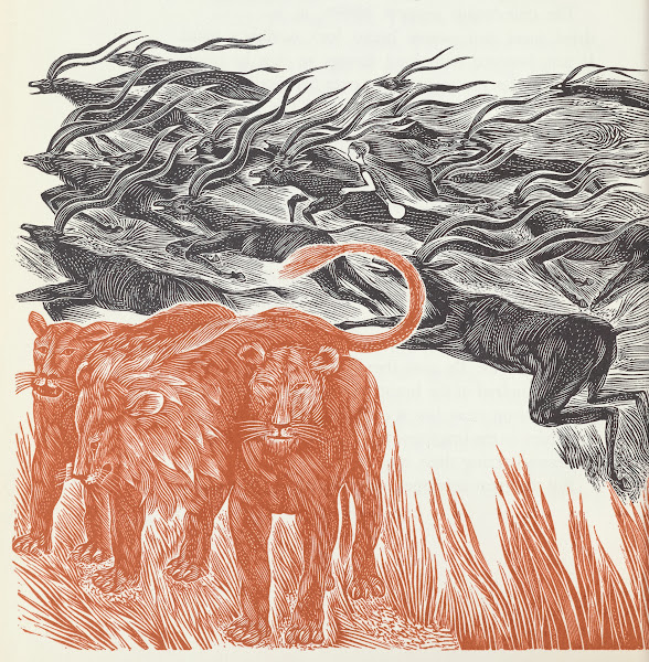 Ronnie and the Chiefs Son pl10 1962