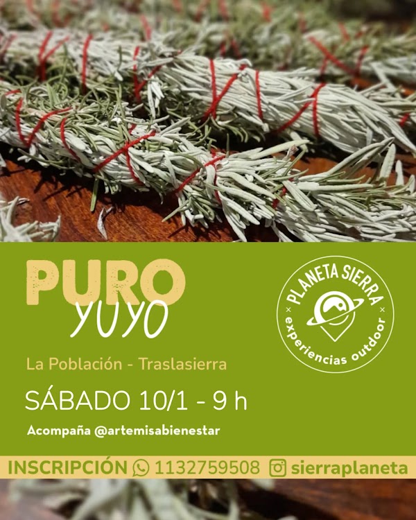 PURO YUYO