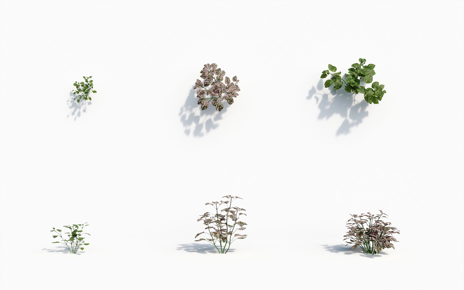 Maxtree - Plant Models Vol.8