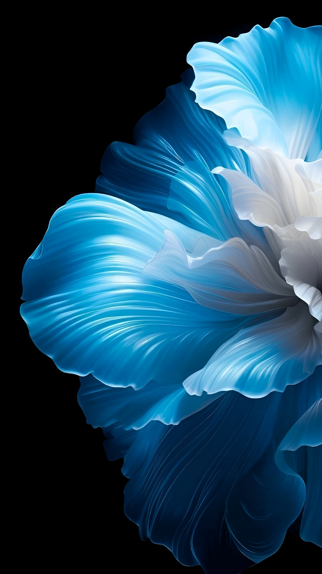 Abstract Blue and White Flower Petal on Black - Free 4K mobile Wallpaper