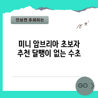 수초농부, 미니 암브리아, 달팽이 없는 수초, 수초추천, 수초스토어