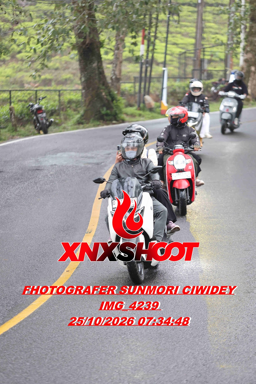 IMG_4239_result.jpg