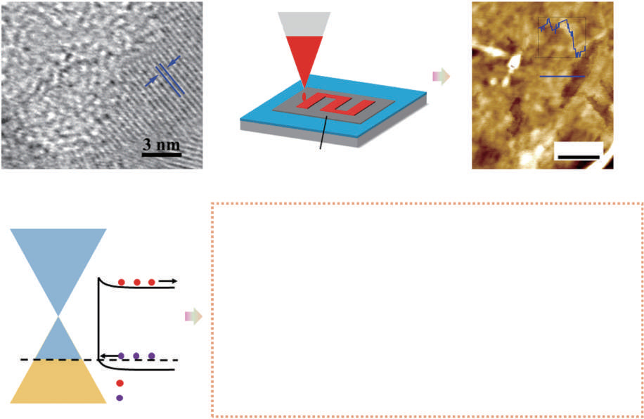 Advances in graphene/molybdenum dichalcogenide-based van der Waals heterostructure photodetectors