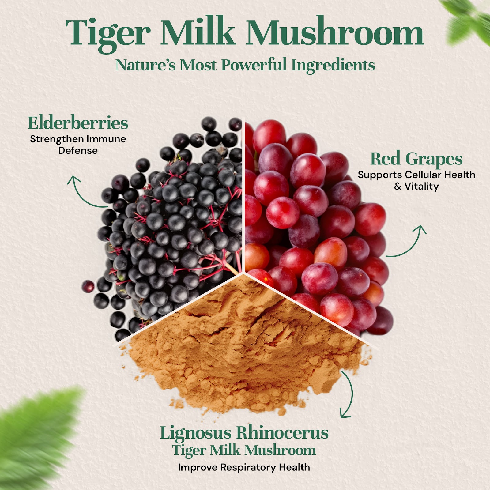 Tiger Milk Mushroom ingredients  -  elderberry and red grape