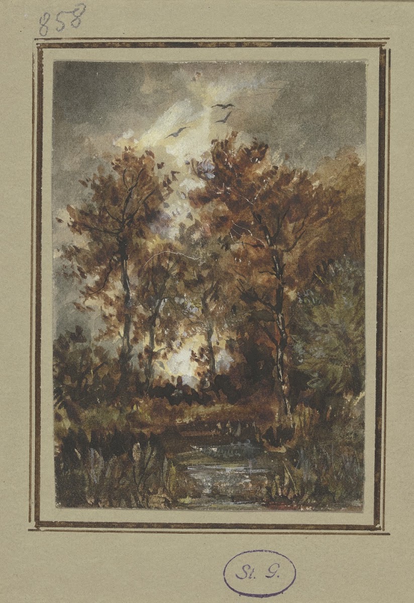 Autumn scenery with a brook