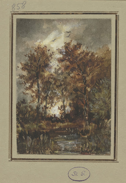 Autumn scenery with a brook