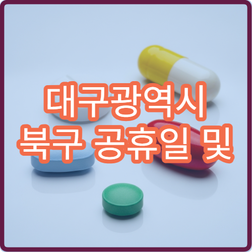 대구광역시 북구 공휴일 및 대체 공휴일 병원 운영 시간 확인