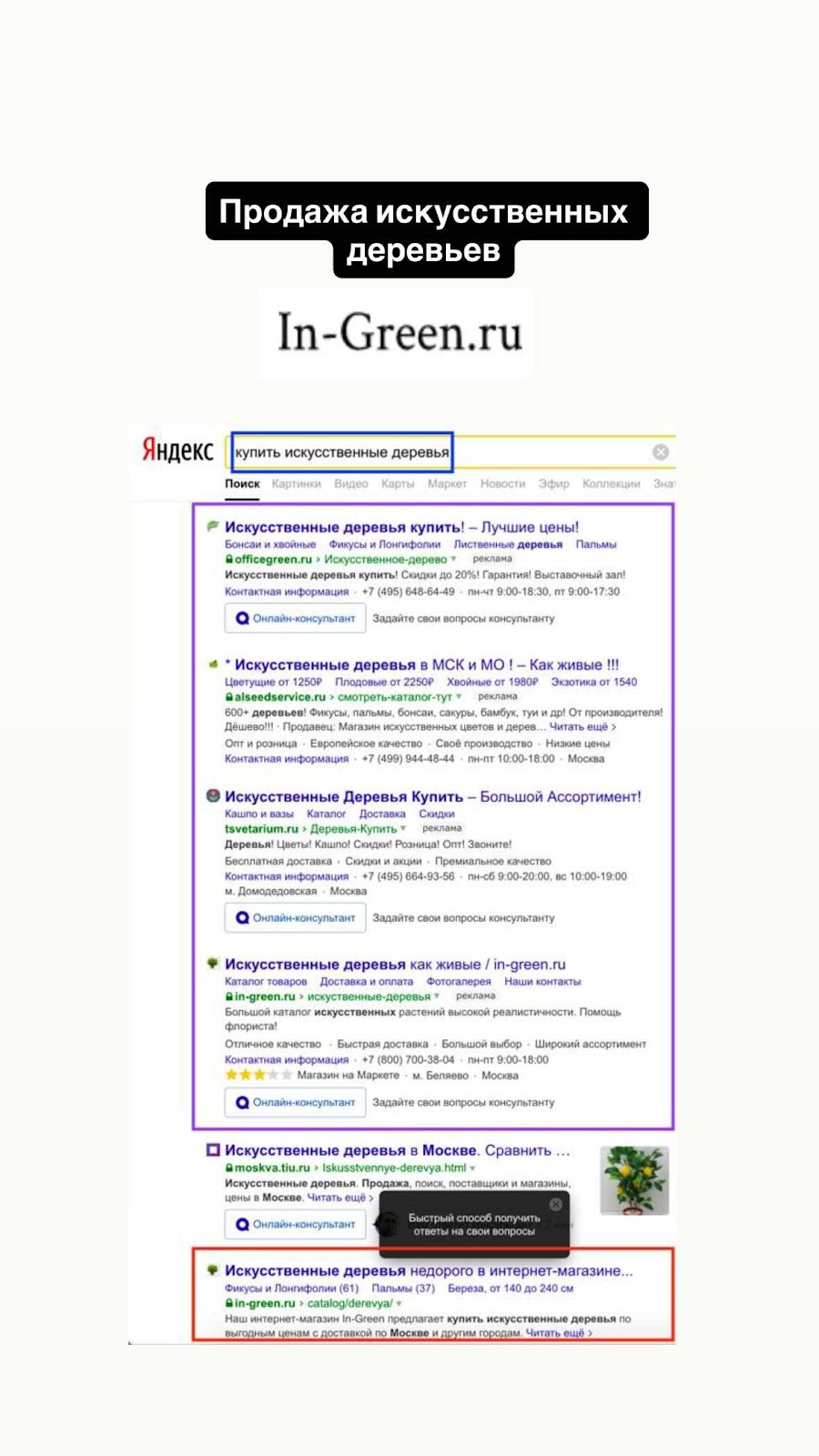 Кейс SEO 10