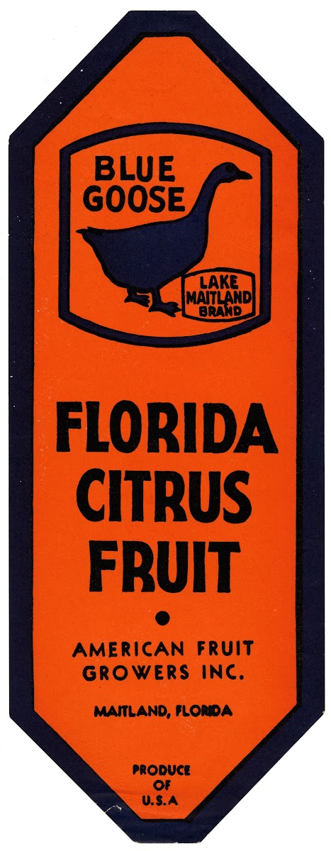 Blue Goose Florida Citrus Fruit Label 1930s