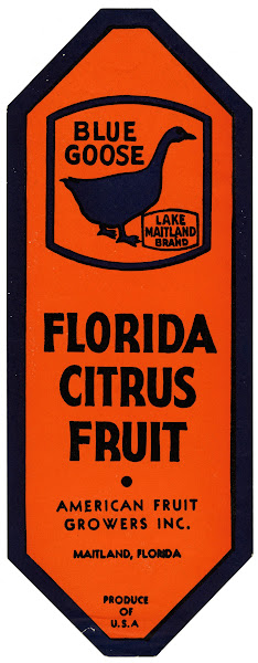 Blue Goose Florida Citrus Fruit Label 1930s