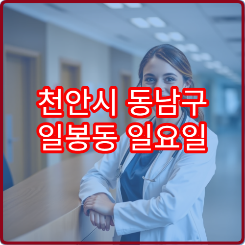 천안시 동남구 일봉동 일요일 피부과 진료 병원 알러지 피부 상담