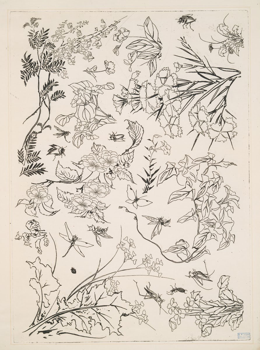 Fleurs 1866