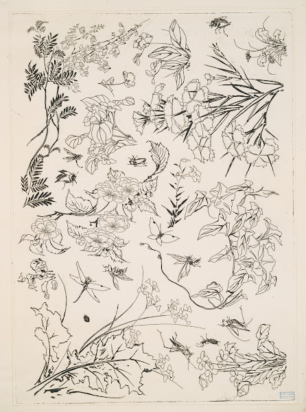 Fleurs 1866