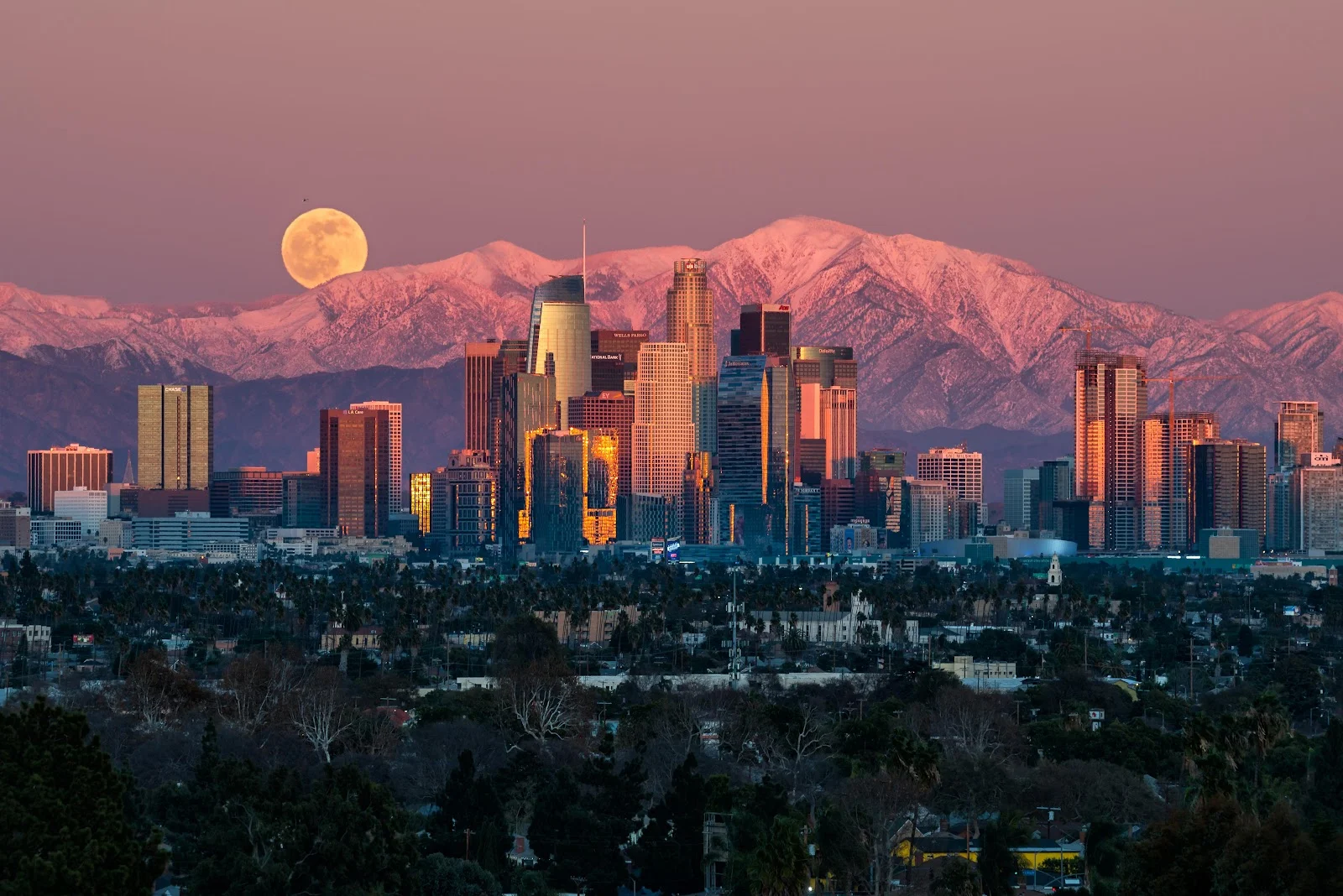 Los Angeles Skyline Under Moon - Cityscape Photography 5K Wallpaper (6016x4016)