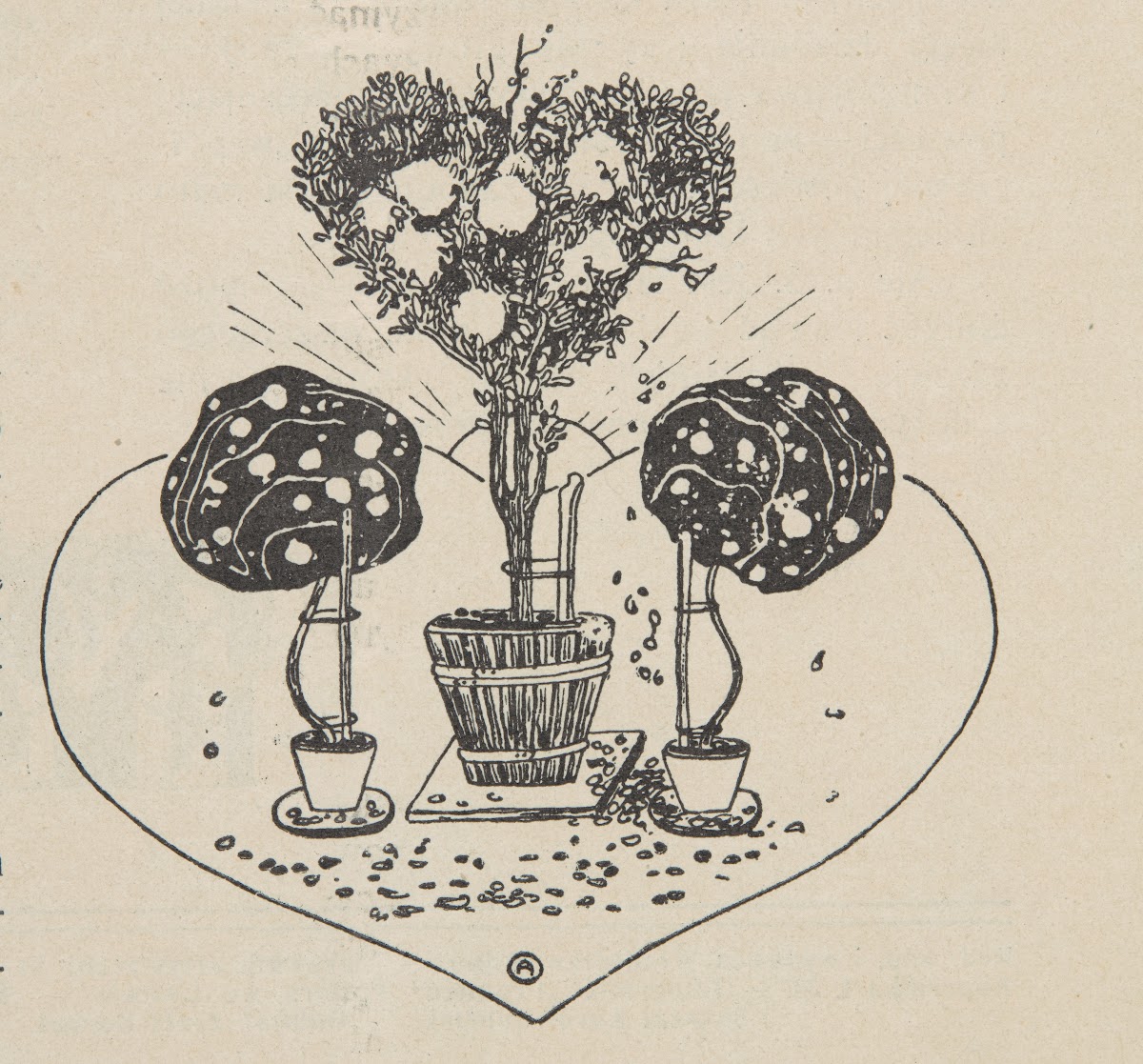 Composition of potted shrubs 1904