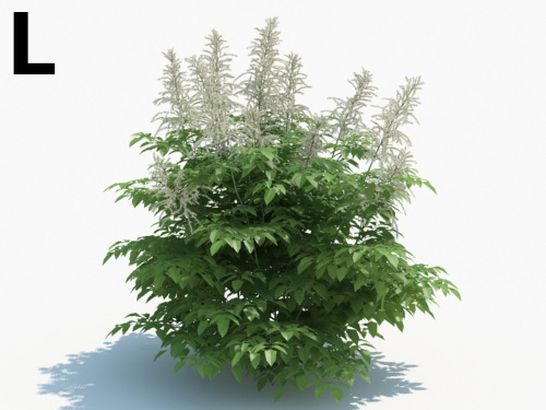 Maxtree - Plant Models Vol.3