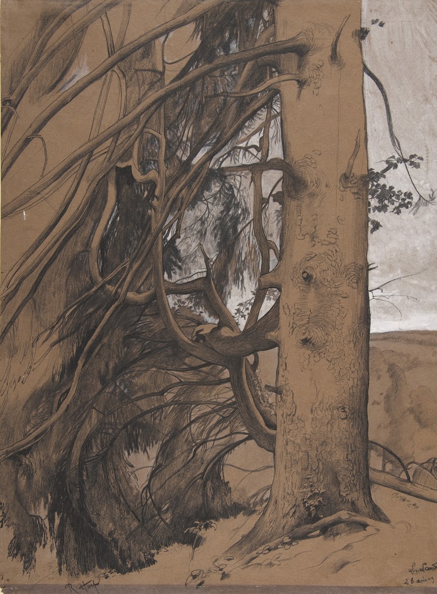 A Fir Tree in the Forest of the Landes Aquitane 1909