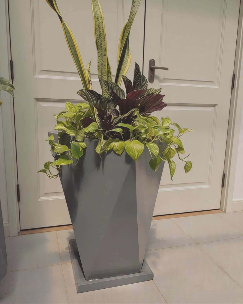 WMS concrete pot design 57