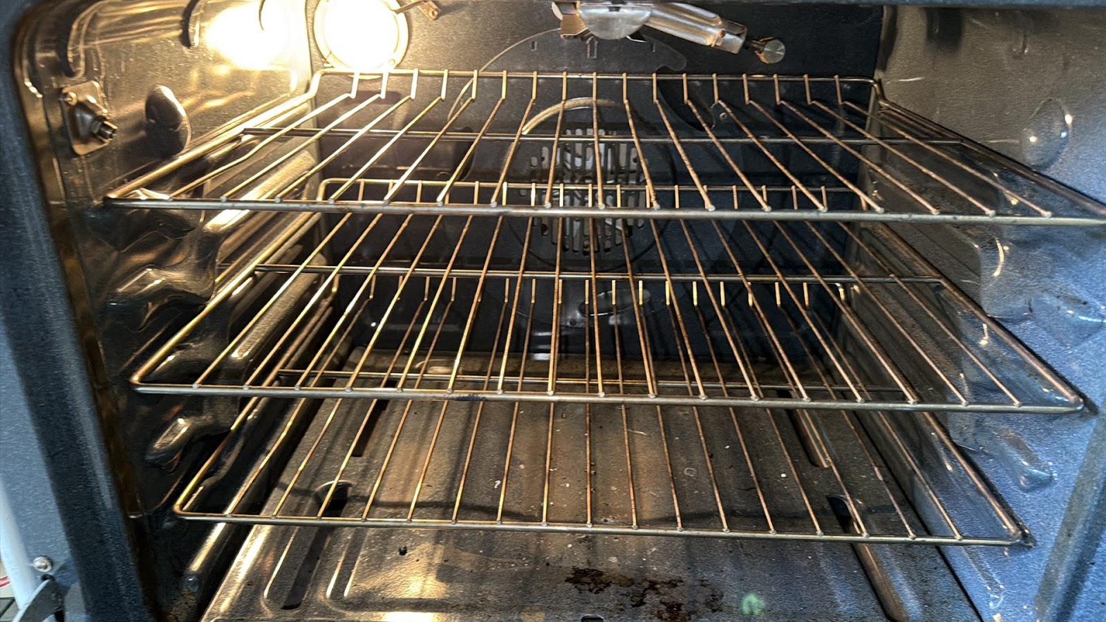 Copy of IMG_2026-03-12_16-21-47_449.jpg