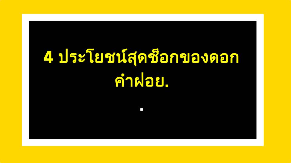 4 ประโยชน์สุดช็อกของดอกคำฝอย: หัวใจ มดลูก และอื่นๆ (จากประสบการณ์จริง)