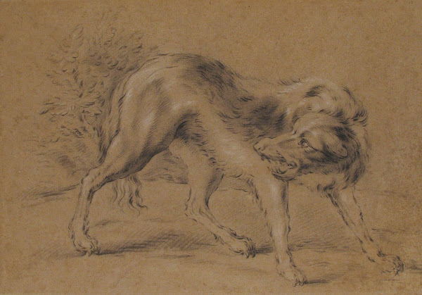 Angry Dog 18th century