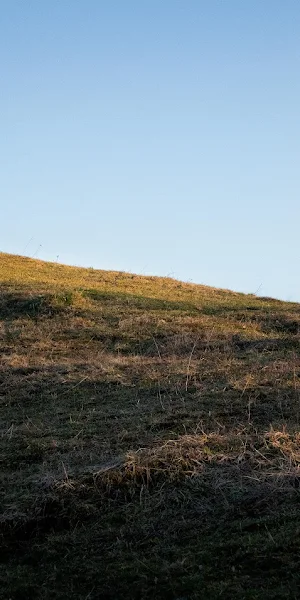 Grassy Hillside Under Blue Sky 5K Wallpaper Background