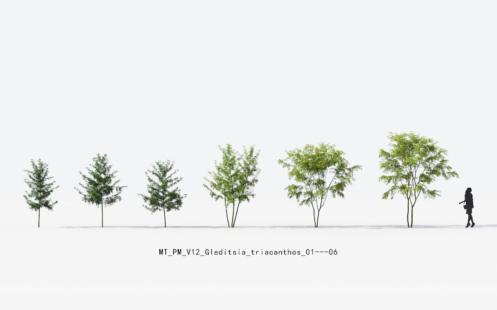 Maxtree - Plant Models Vol.12