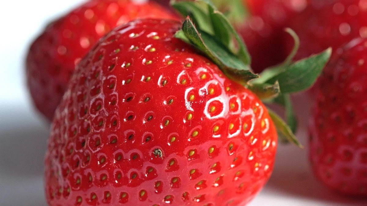 가공식품과 자연식품 영양소 차이와 건강 영향 비교