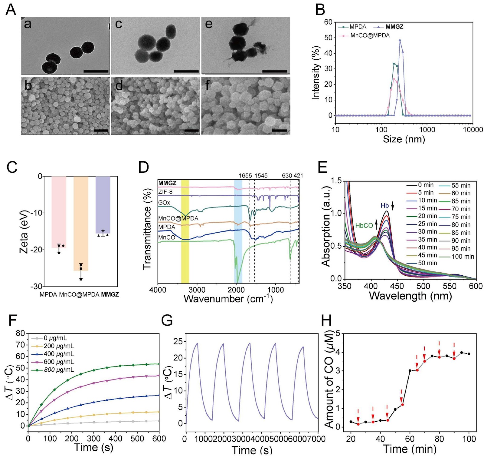 Engineering a Multifunctional Core–Shell Structured Cascade Nanoreactor for Augmented and Synergistic Carbon Monoxide Oncotherapy
