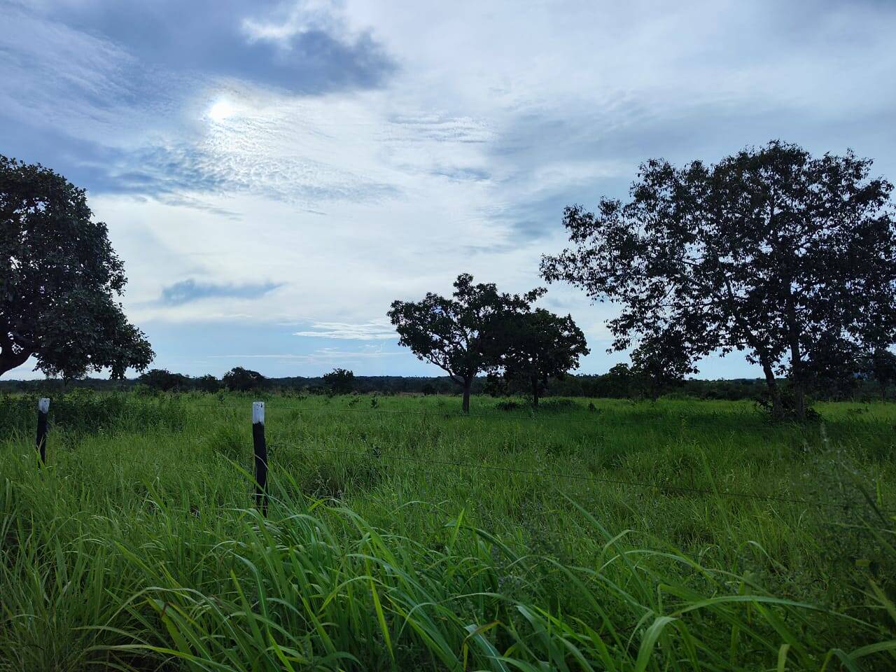 Fazenda no Município de Porangatu - GO 7
