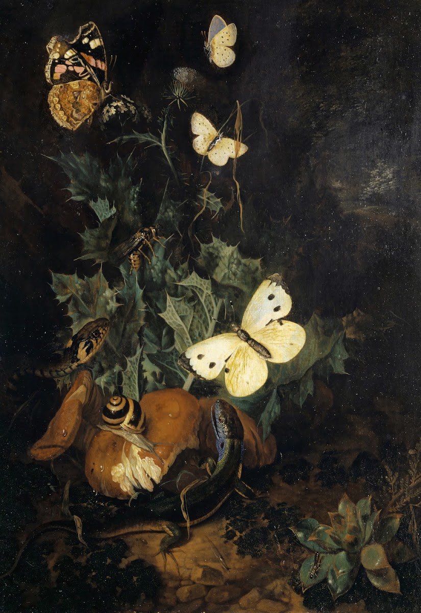 Still Life With Butterflies Lizard And Snake