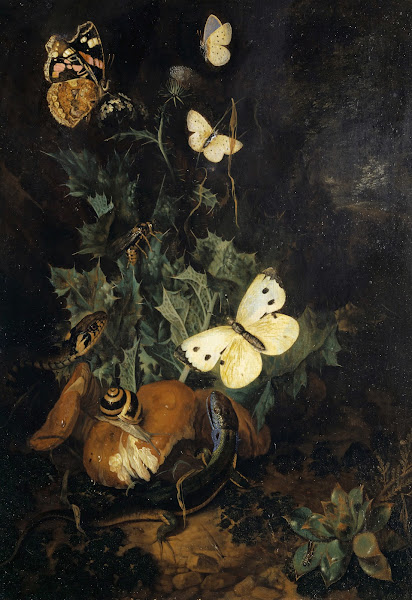 Still Life With Butterflies Lizard And Snake