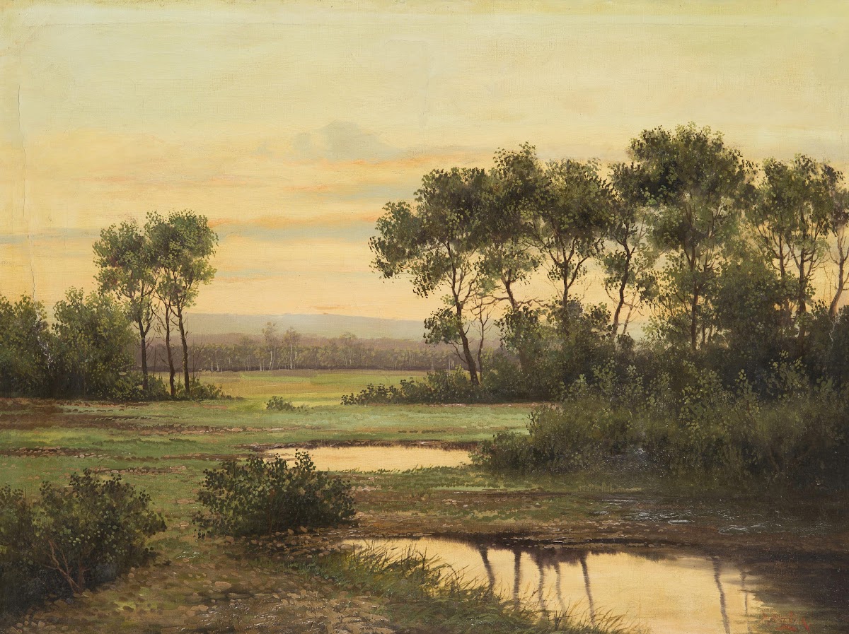 Early Evening Landscape