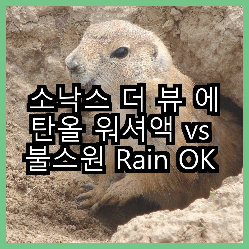 소낙스 더 뷰 에탄올 워셔액 vs 불스원 Rain OK 3in1 발수코팅 워셔액, 어떤 선택이 더 뚜렷한 시야를 제공할까? 썸네일