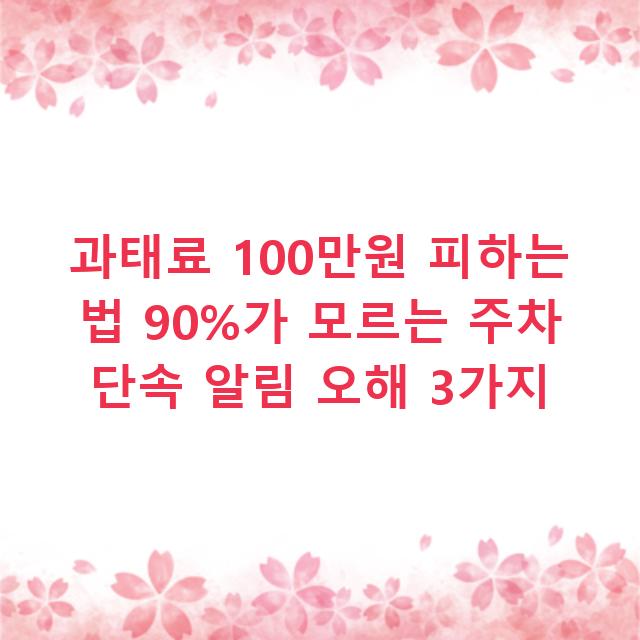 과태료 100만원 피하는 법 90%가 모르는 주차 단속 알림 오해 3가지