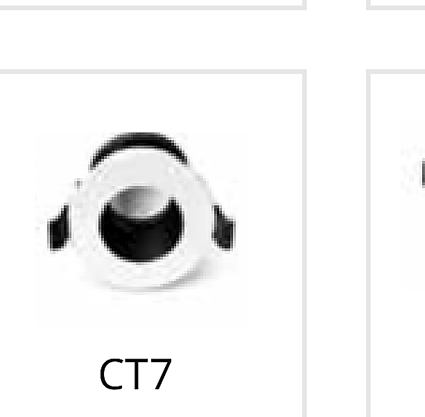 CTL-CD1