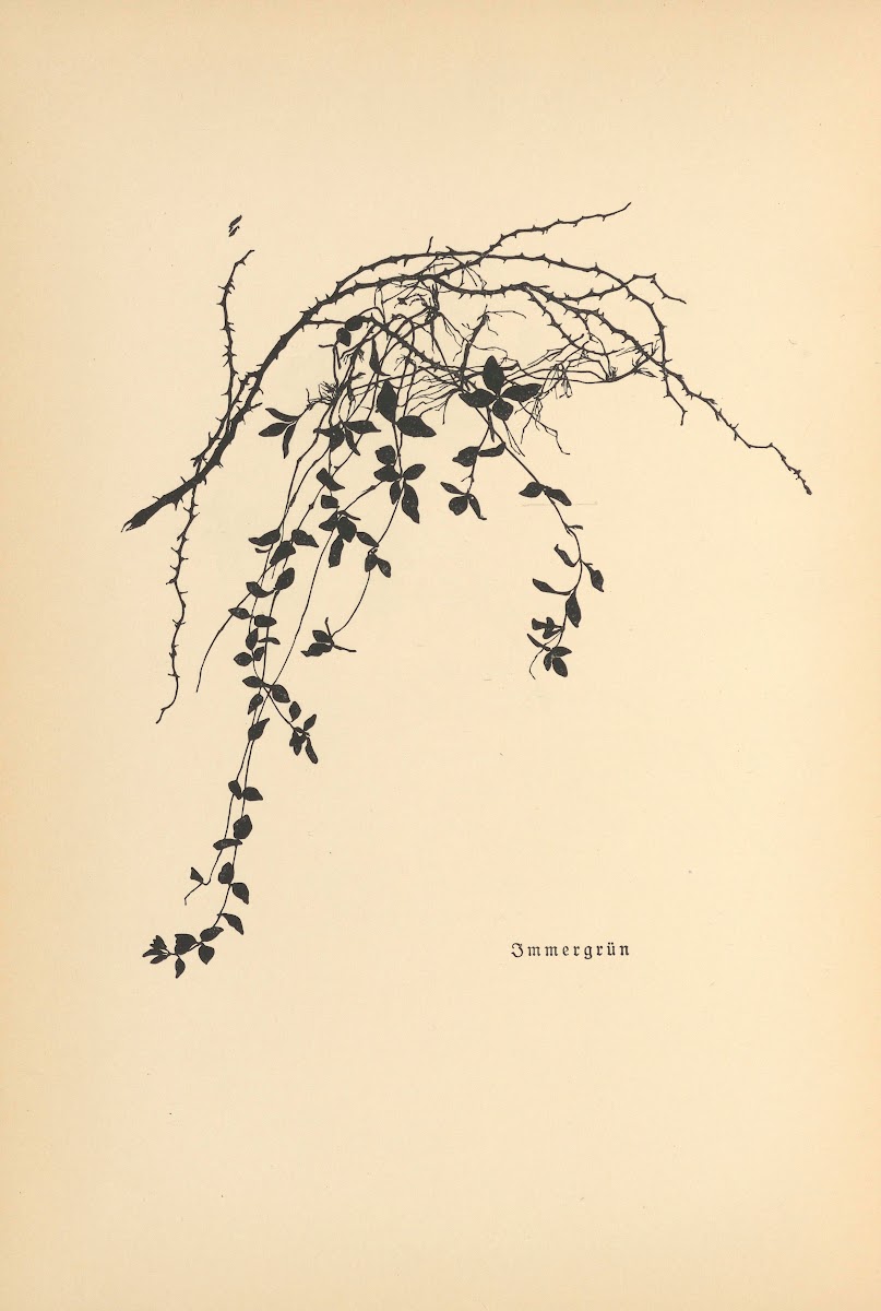 Vertrauen Pl24 1933
