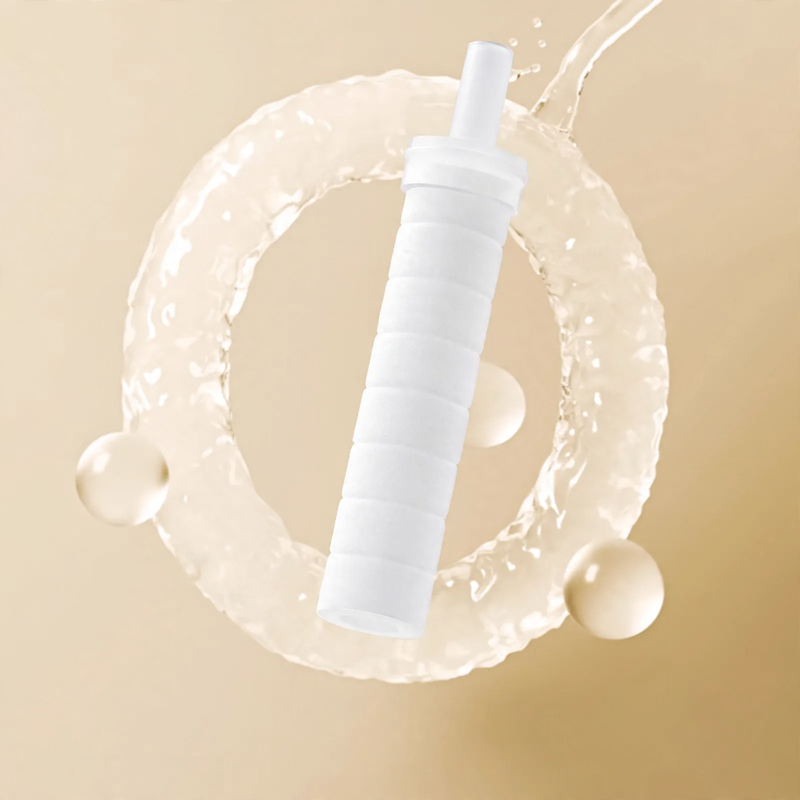 Portable shower head with pressure boosting and filter