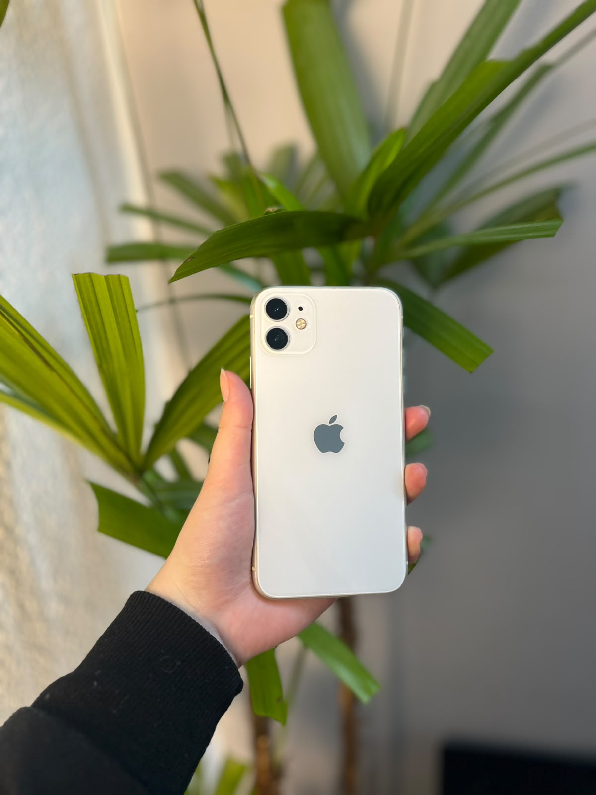 iPhone 11 64GB Branco