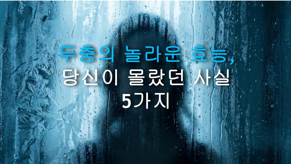 두충의 놀라운 효능, 당신이 몰랐던 사실 5가지
