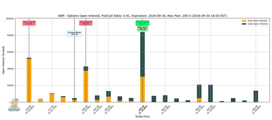 IWM Options